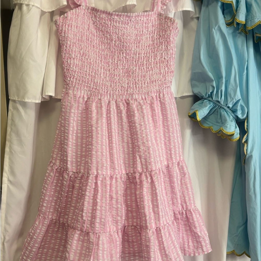Preppy Pink Smocked Gingham Dress
